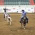 Jx2 Team Roping